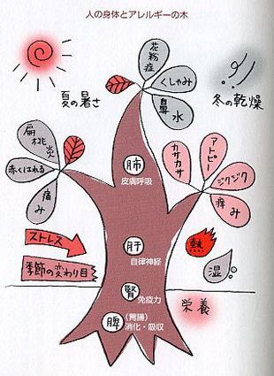 人の身体とアレルギーの木